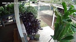 Review Image by Bonany