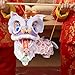 Chinese New Year Lantern Kit, PP 24x16x29cm Lion Dance Holiday Decoration Spring Festival Lantern for Party, School, Restaurant, Home, Parade, Living Room