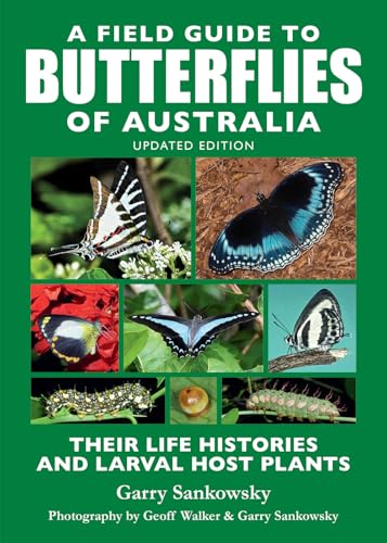education butterfly field guide