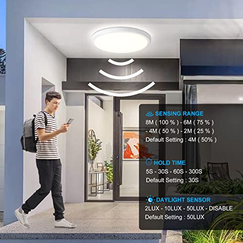 Oraymin Plafoniera a Induzione Orientabile 18W