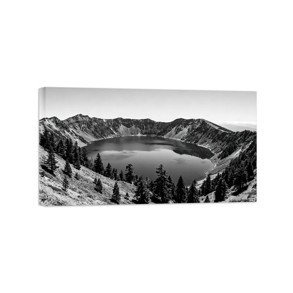 OZPWBVY Lake Tree No.4 Black White Landscape Wall Art Prints 40x70cm Framed