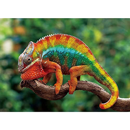 Maxrenard Game 1000 Pieces Jigsaw Puzzle Animal Toy Chameleon Panther #TOP3