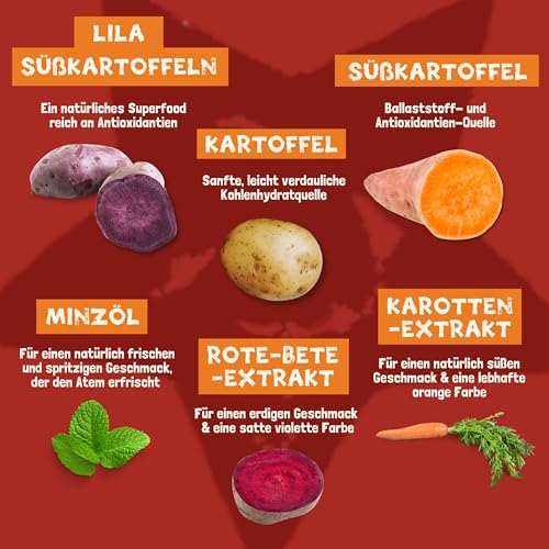 Pawtato kleine Kauknoten für Hunde vegan (1,6 kg Mischpackung), Hundeleckerli mit Süßkartoffeln, Reis & Backhefe für Energie, Leckerli für Hunde & Welpen auf Pflanzenbasis, Kausnack, gemischte Farben