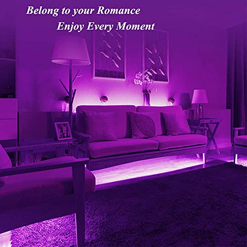 Everbright Pink Led Strip Light,5M /16.4Ft 600Smd Waterproof Ip68 Flexible Light Strip For Car Neon Undercar Lighting Kits Mall Booth House Tv Party Garden Stage Decoration,With 5A Power Adapter #TOP1
