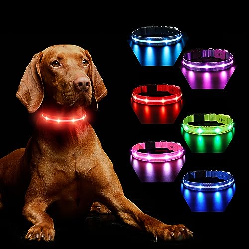 Collar Perro Luminoso Recargable, Collar Luz Perro para Oscuridad 7 Colores 8 Modos de Parpadeo, Ajustable Impermeable Collar LED para Perros Grandes, Medianos y Pequeños, Rojo-S