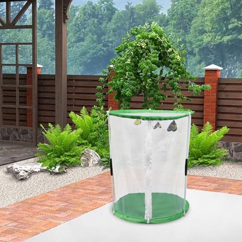 Caja de observación de insectos con malla transpirable para exploración infantil 3