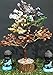 Seven Chakra Gemstone Tree of Life - Crystal Tree Artificial Bonsai Tree Feng Shui Money Tree Plant Indoor Reiki Supplies Healing Crystal for Spiritual Energy Wiccan Meditation Gifts (Golden Wire)
