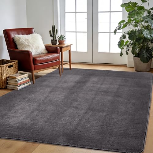Novalife Teppich Kurzflor Teppich für Wohnzimmer,Weich Waschbarer & Anti-Rutsch Modern Shaggy Carpet für Schlafzimmer, Kinderzimmer