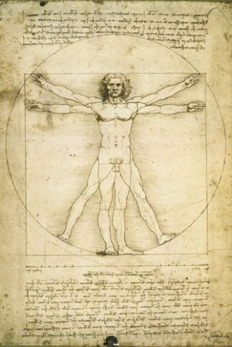 Anatomie de l'homme de Vinci poster plastifié de biologie humaine et art