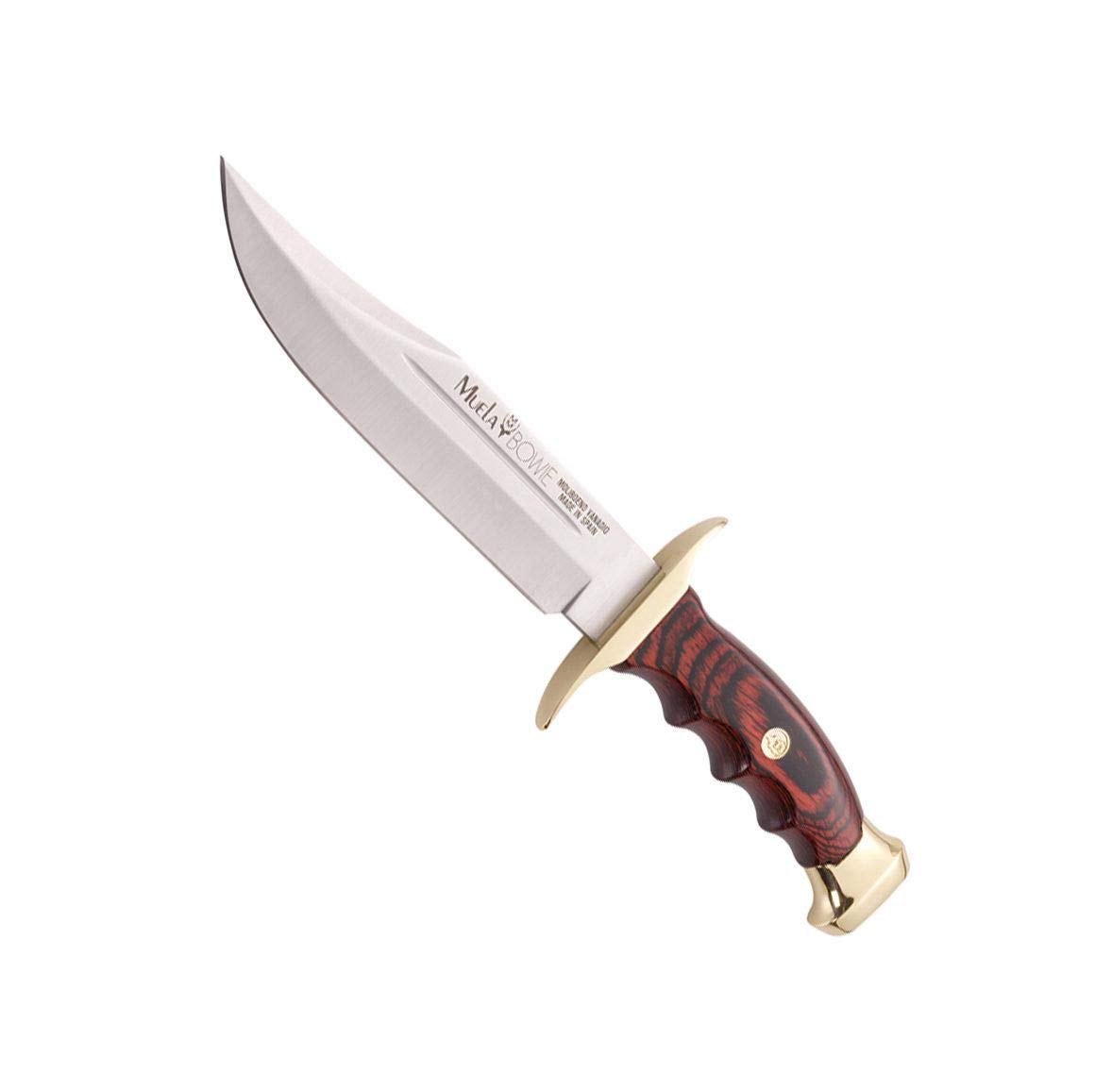 Muela Cuchillo de caza BW-18 con hoja de acero inoxidable ACX-380 de 18 cm y empuñadura de madera de coral para Caza, Pesca, Supervivencia y Bushcraft + Portabotellas de regalo