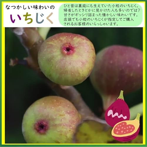 【金山とまと】ドライイチジク 500g 小粒 無添加,砂糖不使用 国内加工 懐かしいドライフルーツ ネコポス便発送 2枚目