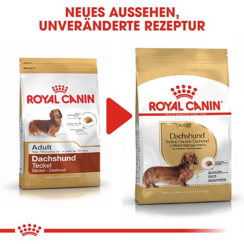 Royal Canin Dachshund Adult | 4er Pack | 4 x 500 g | Alleinfuttermittel für ausgewachsene Dackel ab dem 10. Monat