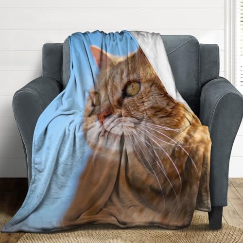 Couverture polaire chat orange pour vos soirées cocooning sur le canapé - 5