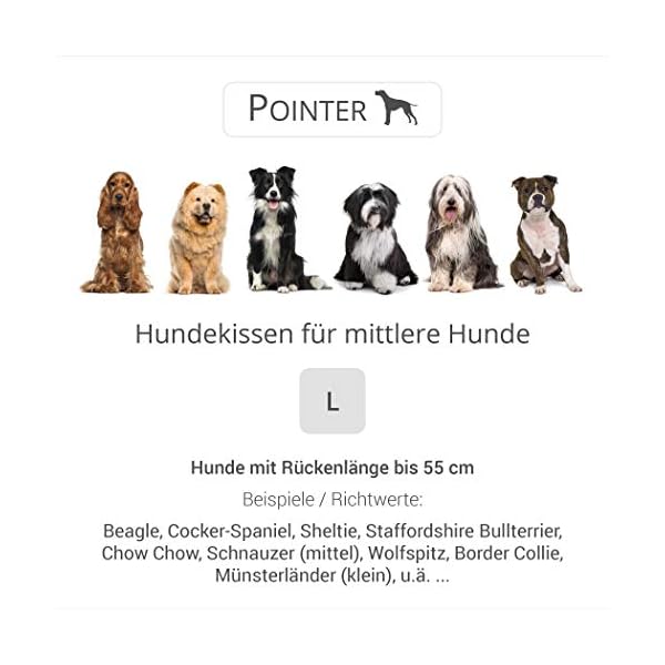 Pointer | Orthopädisches Hundekissen Mittelgroße Hunde, 90x60 cm - Hundebett Waschbar bis 95°C, Geruchsfrei, Robust, Indoor & Outdoor, Made in Germany (L - 90x60 cm, Anthrazit) – Bild 6
