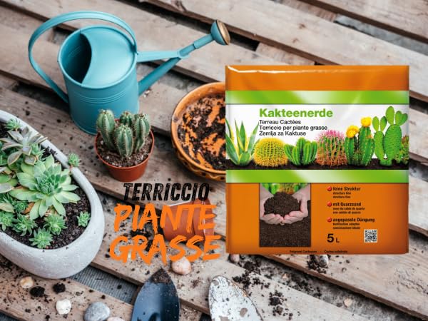  Gardenhome® terriccio per piante grasse, cactus e succulente, ideal per giardini interno ed esterno
| Gardenhome® terri