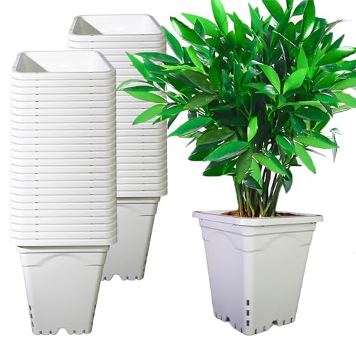 CHTASO HG7X7SW 7"x7" Square White Pot, 9" Tall, Pack of 50 (50)