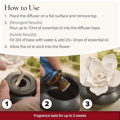 Airomé White Succulent, Porcelain Passive Essential Oil Diffuser (with 15ml Peppermint Essential Oil) – Non-Electric, Battery-Free, Improves Sleep, and Relieves Stress - Image 6