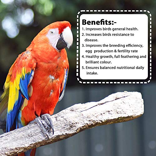 Pet-Care-International-PCI-Vita-Specially-formulated-for-Birds-Helps-Healthy-Growth-Full-Feathering-Brilliant-Color-with-Extra-Vitamin-C-30ml