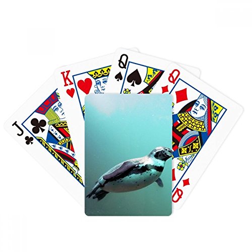 Meer Antarktis Pinguin Kreatur Wissenschaft Natur Poker Spielen Magic Card Fun Brettspiel