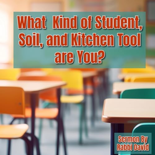 What Kind of Student, Soil, and Kitchen Tool are You? | Rabbi David
