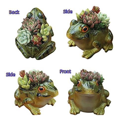 XZJMY Succulent Pots, Plant Pots for Frog Decor Small Animal Succulent Planters - Image 3