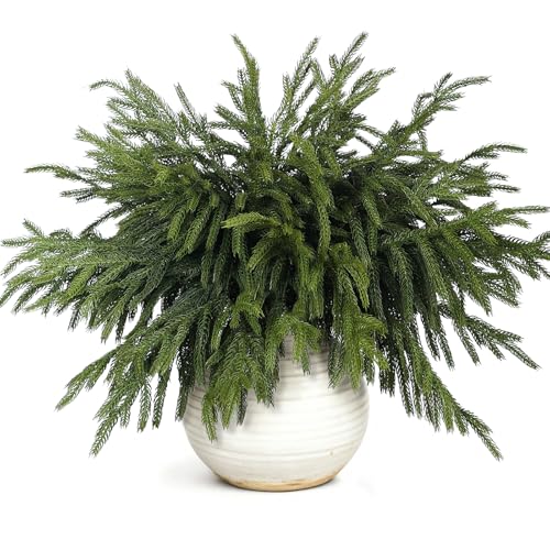 20 Pcs Christmas Norfolk Pine Branches -18" Real Touch Artificial...