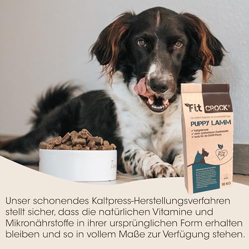 cdVet Fit-Crock Hundefutter trocken Puppy Lamm 10 kg, getreidefrei