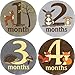 Woodland Critters Monthly Baby Bodysuit Stickers