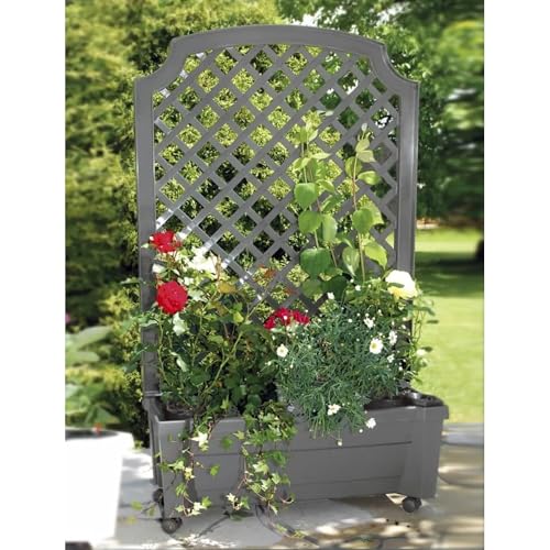 KHW Garden Calypso Pflanzkasten mit Bewässerungssystem, Rankgitter und Rollen, grau, 79x35x134 cm