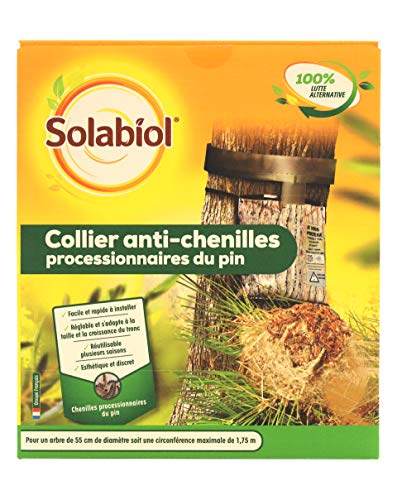 Piège chenilles processionnaires pin Solabiol collier réglable 55 cm et bande glu Algoflash 5m