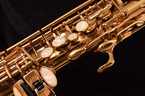 New! Herche Superior Alto Saxophone M2 UPGRADED! | Professional Instruments for All Levels | High F# Key | Complete Set w/Backpack Carrying Case, Neck Strap, Rico Reeds, Cork Grease & Service Plan - Thumbnail 4