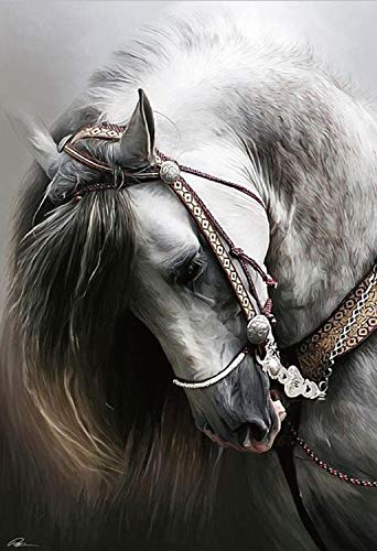 Thoroughbred Spanish Horse 1000 Pieces Puzzles for Adults Landscape Jigsaw Puzzle Artwork Style Gift DIY Mural Painting Entertainment Intellective Educational Toy Ideas for Relaxation Meditation Hobby