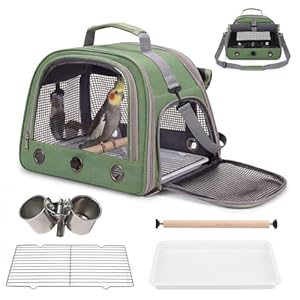 Bird Carrier, Lightweight Breathable Bird Backpack, Portable Wild Bird Carrier with Standing Perch for Parrot Travel Vet Visit (Green)