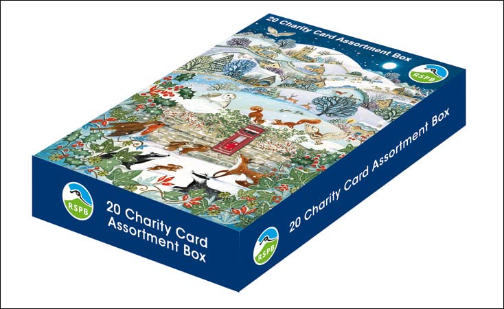 Woodmansterne Artistic Charity Christmas Cards - RSPB Winter Wildlife Scenes - Eco-Friendly & Recyclable - Box of 20 Cards - Image 2
