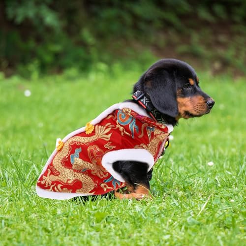 Disfraz para perro dragón Levemolo talla L miniatura 4
