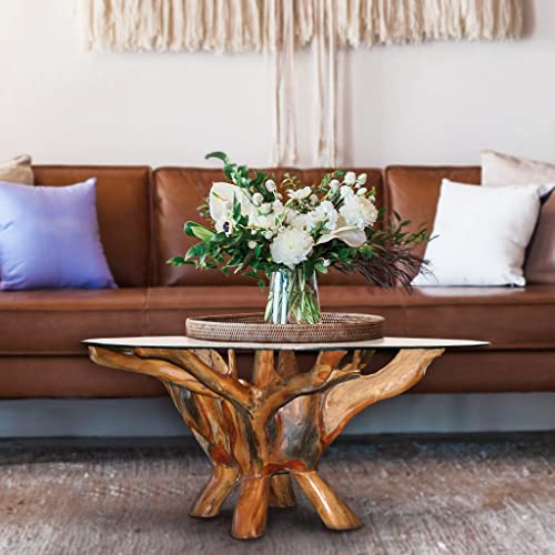 Chic Teak Teak Root Coffee Table Including 43 Inch Round Glass Top, Made From Solid A-Grade Teak Wood #TOP2