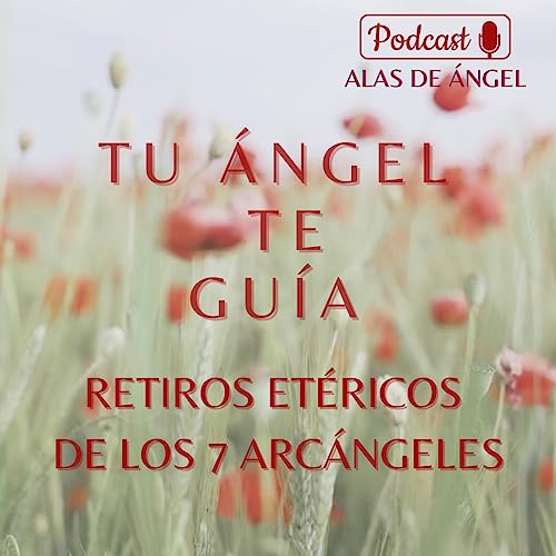 『RETIROS ETÉRICOS DE LOS 7 ARCÁNGELES』のカバーアート