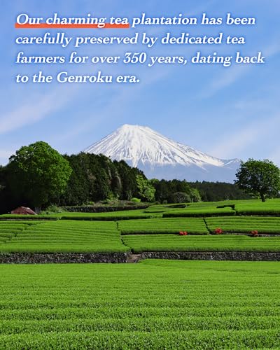 Té matcha en polvo ceremonial origen Shizuoka miniatura 7