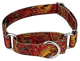 Country Brook Petz - Fire Paisley Martingale Dog Collar - Paisley Collection Featuring Classy Designs (1 Inch, Large)