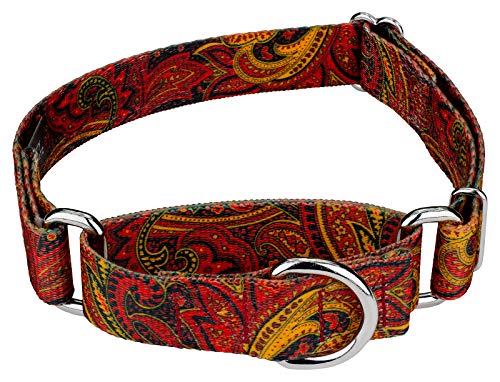 Country Brook Petz - Fire Paisley Martingale Dog Collar - Paisley Collection Featuring Classy Designs (1 Inch, Large)