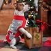 FWLWTWSS Weihnachten Hundepullover, Winter Warmer hundepulli Sweater mit Rollkragen, Geschenke für kleine und mittelgroße Hunde(M)