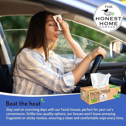Image of Honest Home Face Tissue (2 Ply) - 100 Pulls