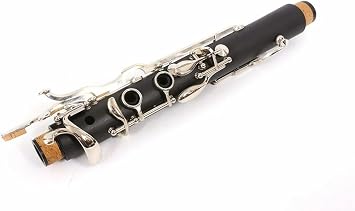 Standard Clarinet Advanced G Key Clarinet Ebonite Wood with Clarinet Case 17key Nickel Plated Key Beginner Clarinet