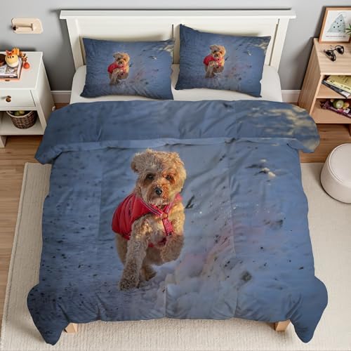 Piumino Singolo Neve Trapunte Bichon Frisé Piumone Imbottito Resistente Lavabile, Super Morbida Trapunta, piumini 160x245 cm in Microfibra Reversibile e 2 Federa 50x80 cmT2073