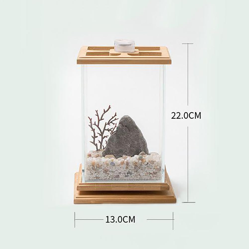Amazon | マイクロビューボトル生態水族館、ミニ回転魚強化ギフト
