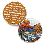 Original Autumn Sobriety Coin - Recovery Seasonal Landscapes AA Coins - Harvest NA AA Chips and Medallions - Clean and Sober Narcotics Alcoholics Anonymous Gifts for Men Women