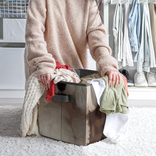 Cube de rangement pliable caniche pour désencombrer étagères et armoires