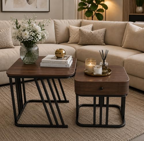 Roldo Modern Coffee Table with Storage Drawer, Center Table for L...