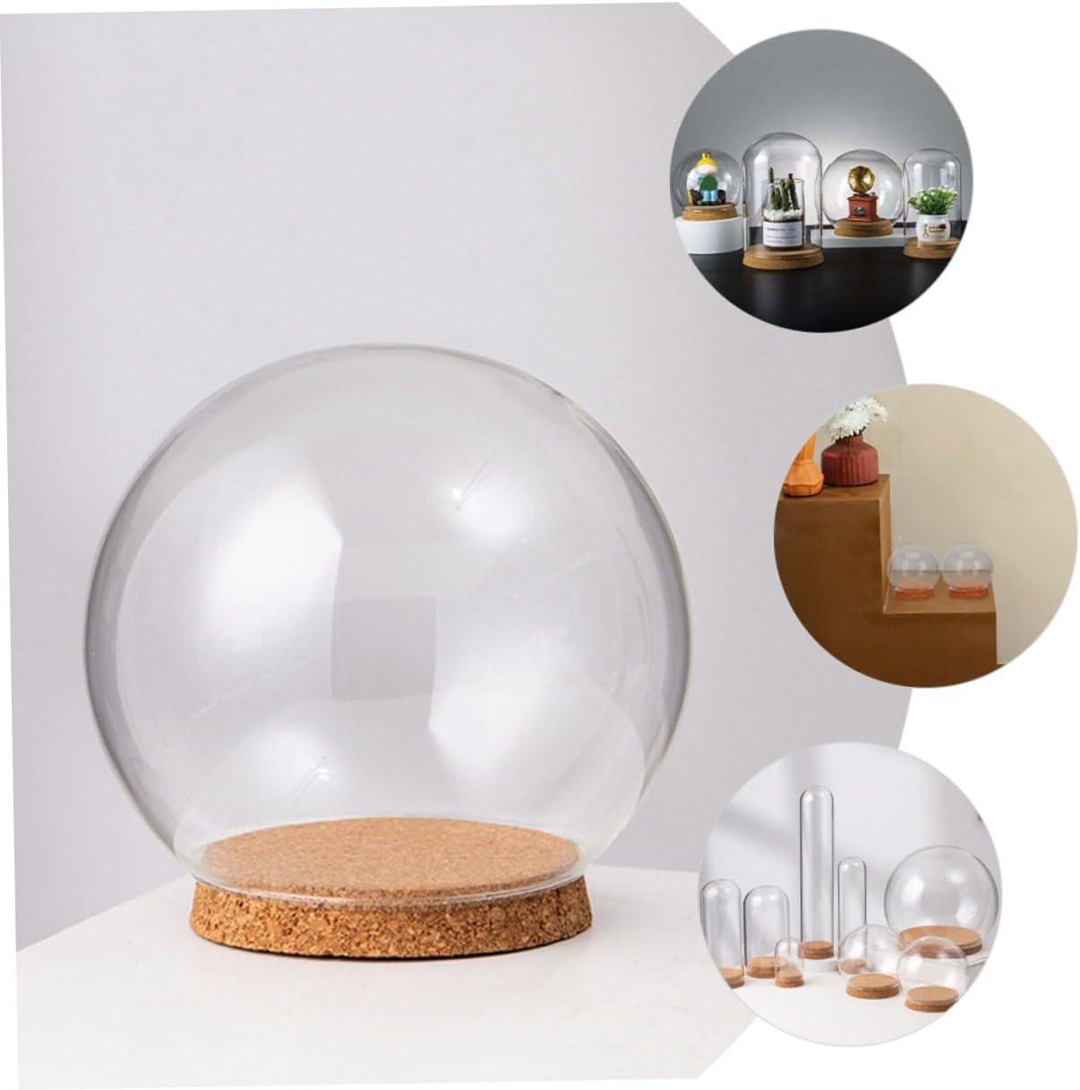 Ciieeo 4pcs Glass Dome Preserved Flower Cover with Cork Decorative Flower Protector Ornament for Micro Landscapes Figurines and Home Decor Elegant and Design