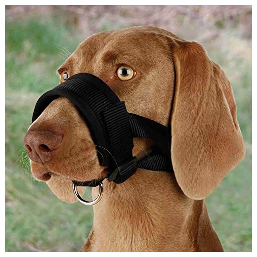 TRIXIE Bozal Lazo Nylon, Entrenamiento, XL, 23-34 cm, Ng